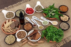 漢方　煎じ薬　は、様々な　生薬　を組み合わせて作ります。